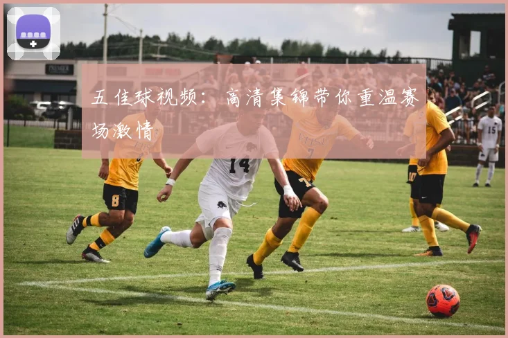 五佳球视频：高清集锦带你重温赛场激情
