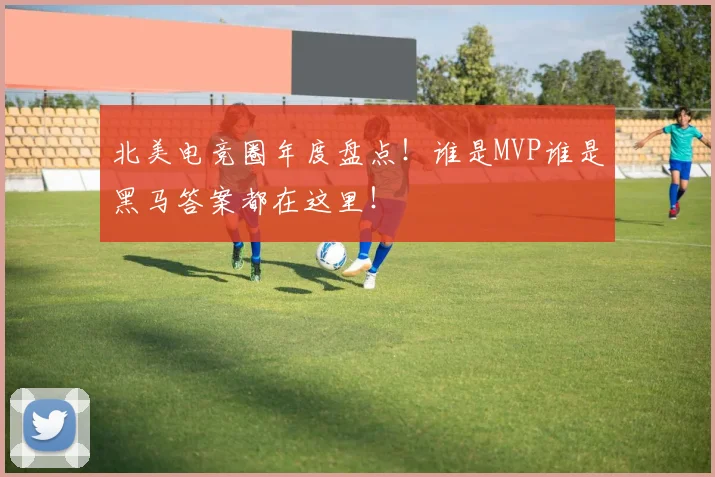 北美电竞圈年度盘点!谁是MVP谁是黑马答案都在这里!